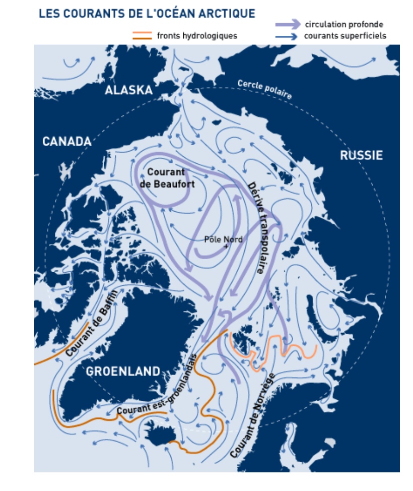 Холодное течение северо ледовитого океана. Течения Северного Ледовитого океана на карте. Карта морских течений Северного Ледовитого океана. Течения норвежского моря. Арктическое течение на карте.