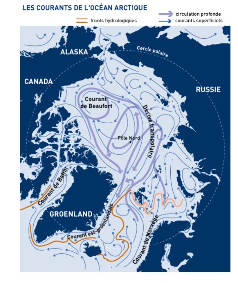 Океанические течения северного ледовитого океана. Течения Северного Ледовитого океана на карте. Течения Северного Ледовитого океана. Арктическое течение на карте. Течения Арктики.